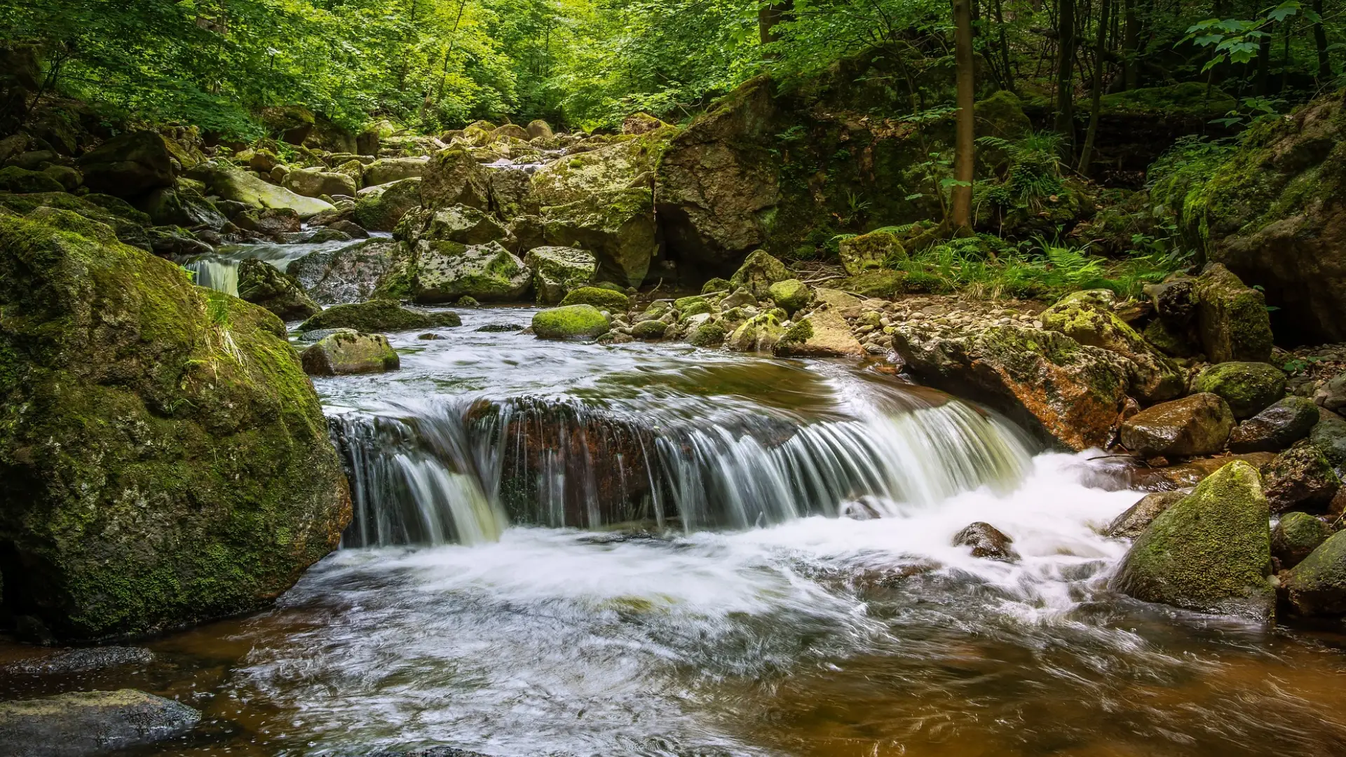 Naturbild -Vorteile für die Umwelt